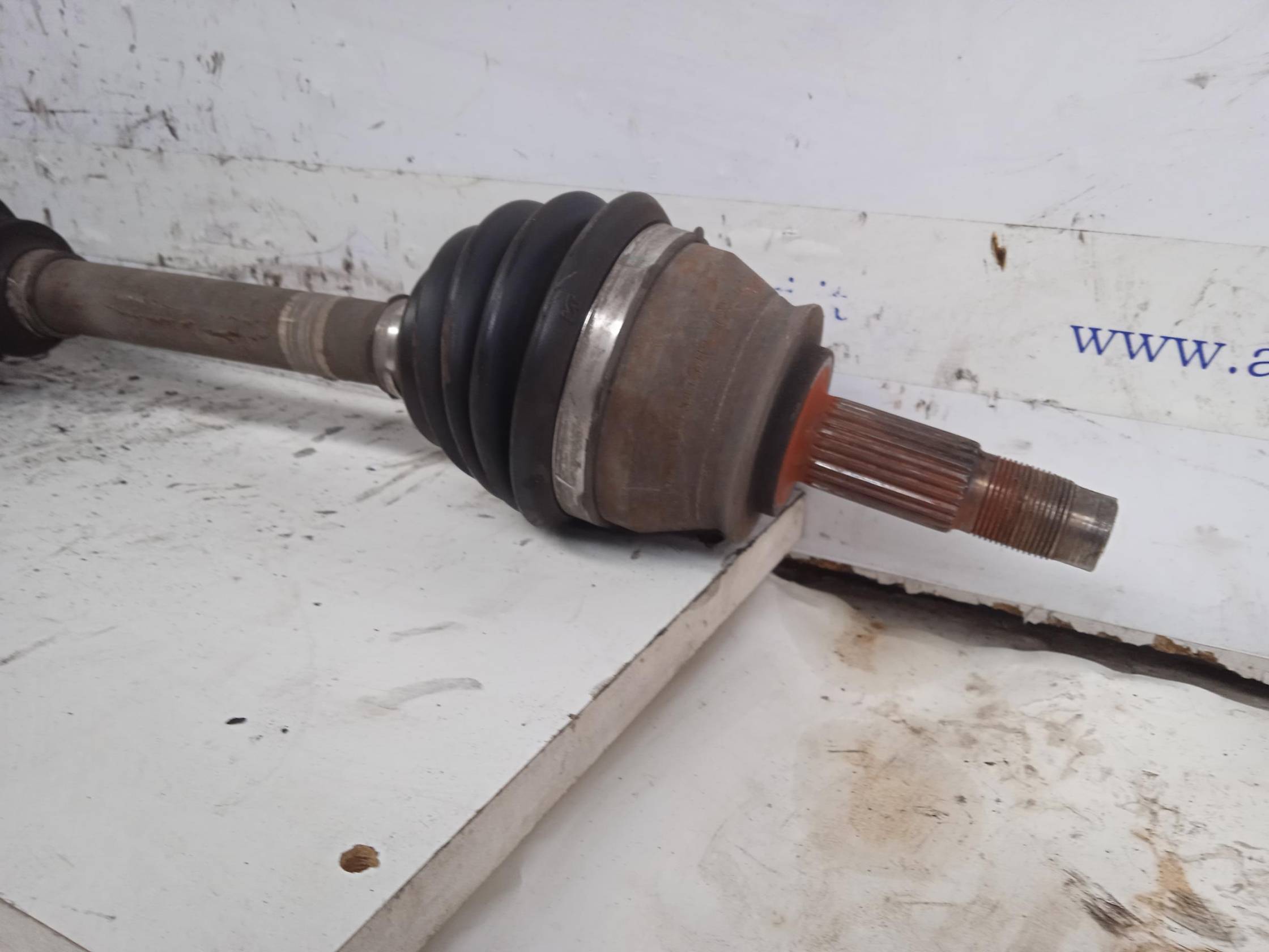 Semialbero ant. compl. dx.